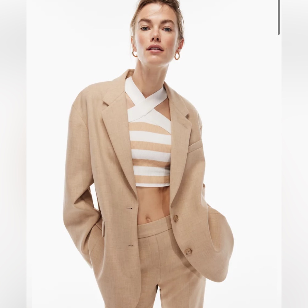 Babaton Aritiza Vogue blazer